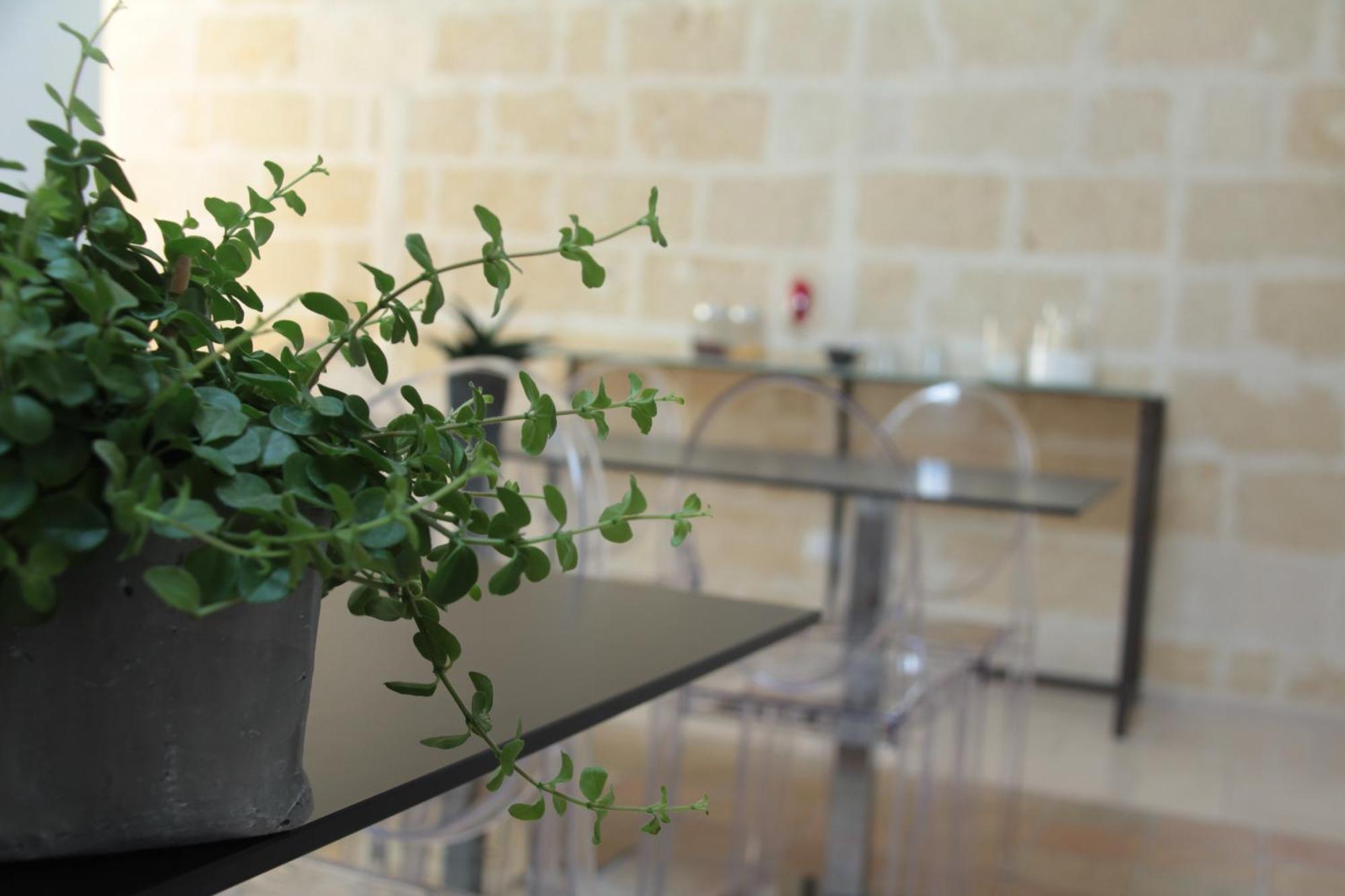 Lamia Room Rentals Matera Dış mekan fotoğraf