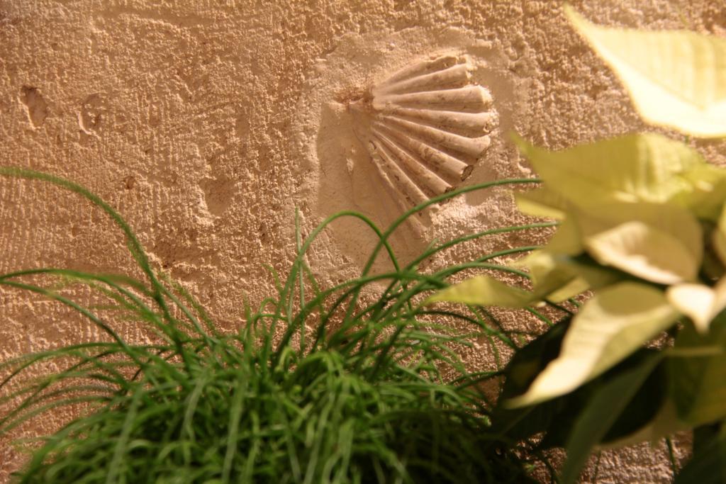 Lamia Room Rentals Matera Dış mekan fotoğraf